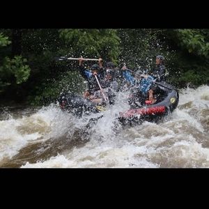 Meet your Posher, Tanner